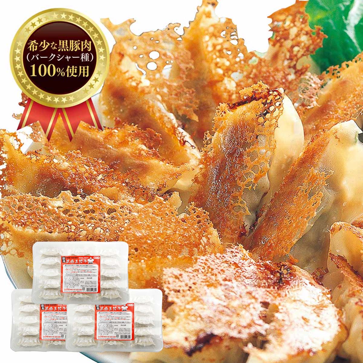 黒豚生餃子 45個(15個入×3パック)【送料込】
