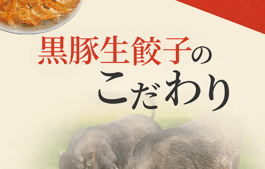 黒豚生餃子のこだわり