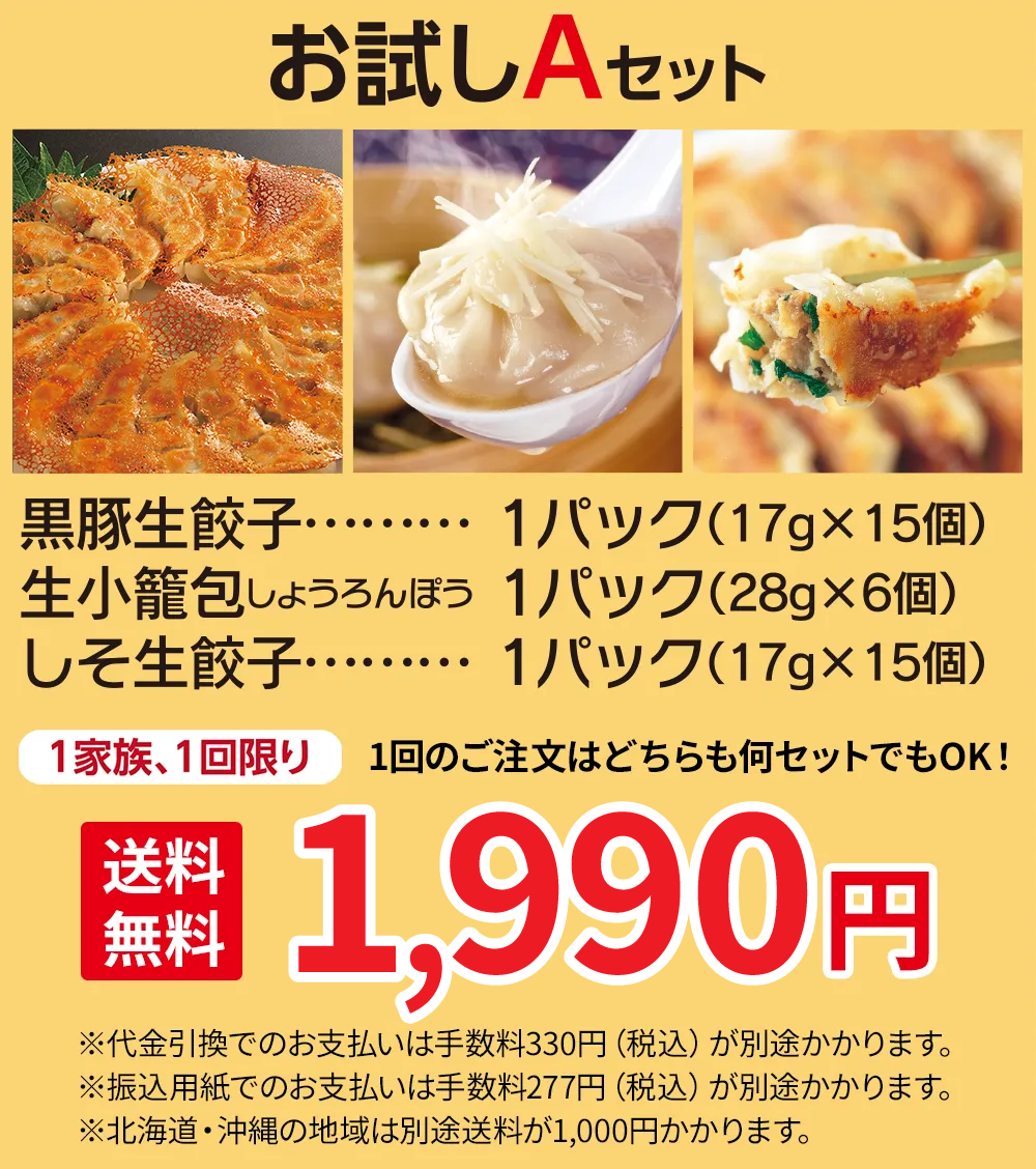 お試しAセットの中身