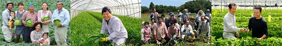 野菜は生産農家と直接契約したもの。
