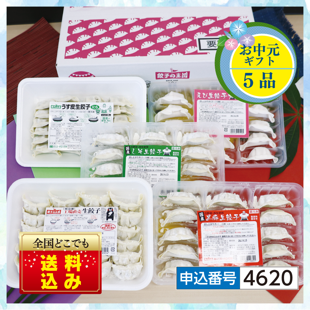 【お中元】 人気の餃子5種セット 『送料込』