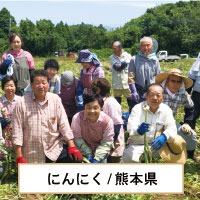 ニンニク農家