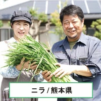ニラ農家